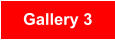 Gallery 3