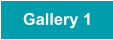 Gallery 1