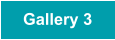 Gallery 3